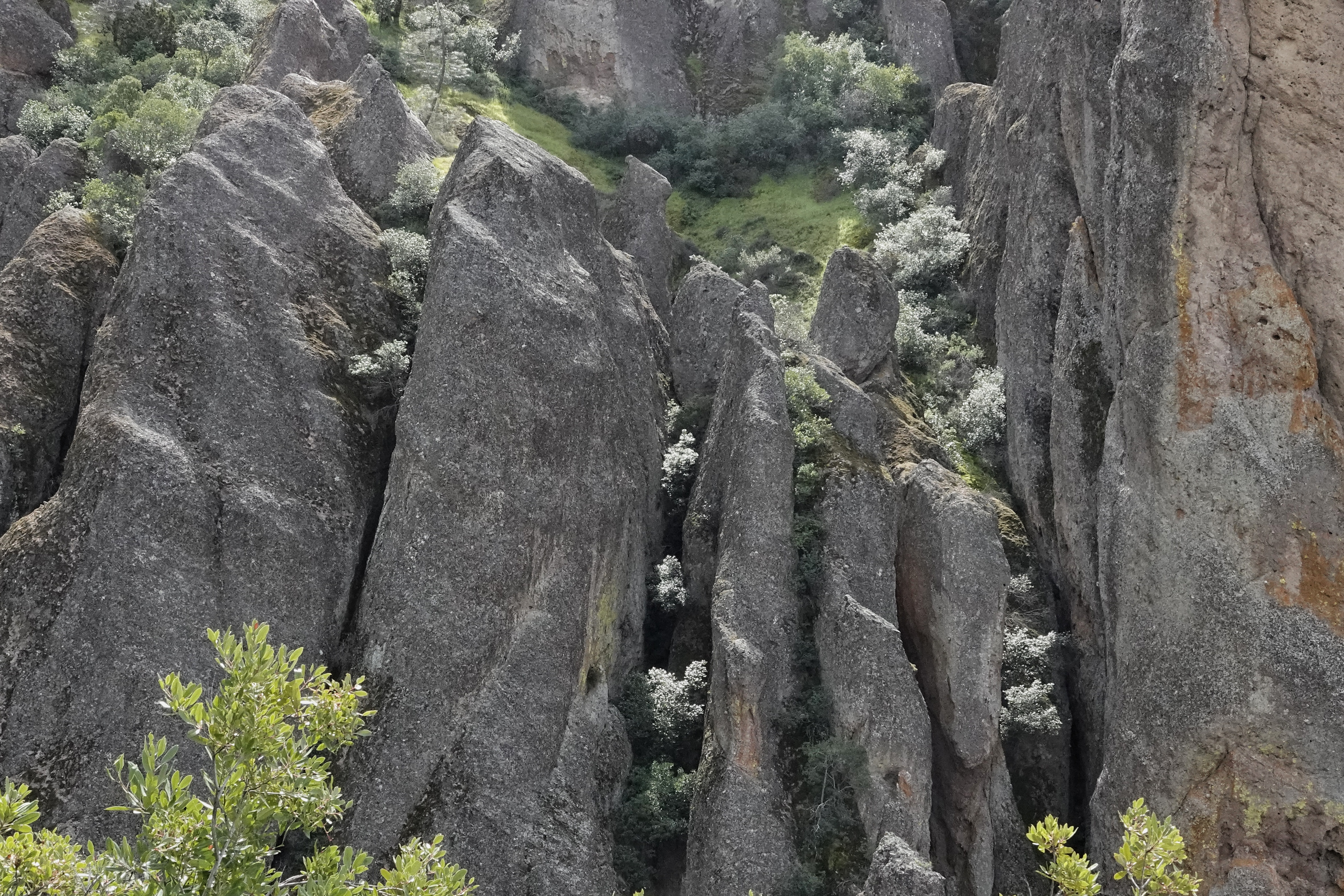 Randonnée à Pinnacles National Park